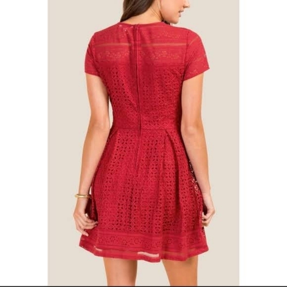 Francesca’s “Lilly” A-Line Lace Above the kneew Dress - Picture 3 of 17